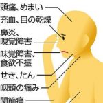 レス2番の画像サムネイル