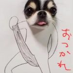 レス1番の画像サムネイル