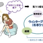 レス6番の画像サムネイル