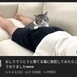 レス1番の画像サムネイル