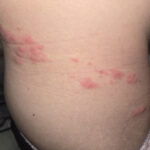 レス1番のサムネイル画像