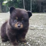 レス1番のサムネイル画像