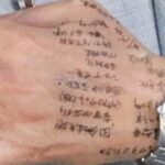 レス1番のリンク先のサムネイル画像