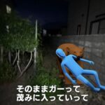 レス1番のリンク先のサムネイル画像