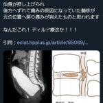 レス1番のサムネイル画像