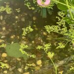 レス21番の画像3