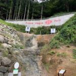 レス22番の画像1