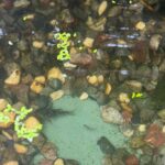 レス21番の画像2