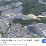 レス1番の画像2