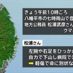 レス1番のリンク先のサムネイル画像