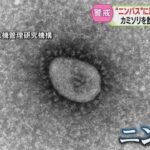 レス1番のリンク先のサムネイル画像