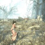 レス1番の画像2