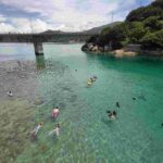 レス49番の画像1