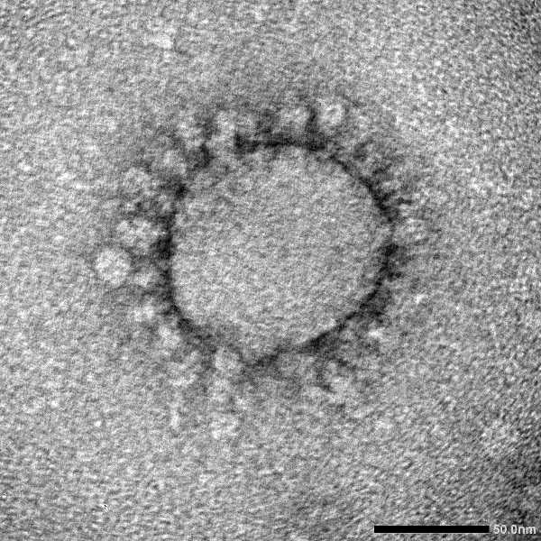 記事サムネイル