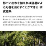 レス27番の画像1