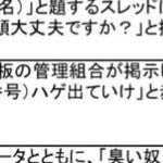 レス1番の画像2