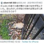 レス23番の画像1