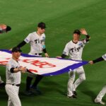 レス24番のリンク先のサムネイル画像