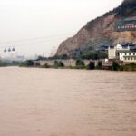 レス5番の画像1