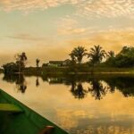 レス14番の画像1