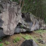 レス3番の画像1