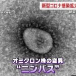 レス1番のリンク先のサムネイル画像