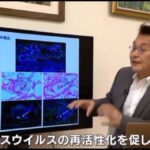 レス8番の画像2