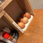 レス19番の画像1