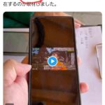 レス8番の画像1