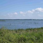 レス22番の画像1