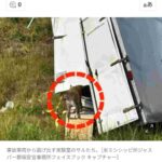 レス3番の画像1