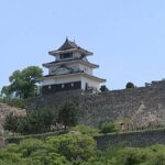 レス1番のリンク先のサムネイル画像