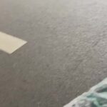 レス10番のリンク先のサムネイル画像