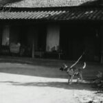 レス4番のリンク先のサムネイル画像