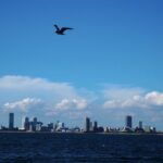 レス1番の画像3