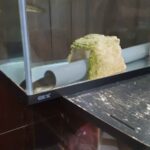 レス19番の画像2