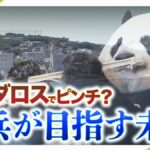 レス1番のリンク先のサムネイル画像