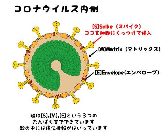 記事サムネイル