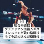 レス2番の画像8