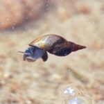 レス2番の画像1