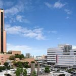 レス12番の画像1