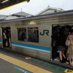 レス14番の画像4