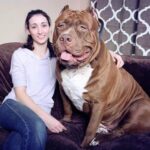 レス19番の画像1