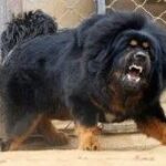 レス30番の画像1