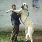 レス23番の画像1