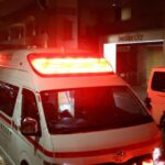 レス1番のリンク先のサムネイル画像