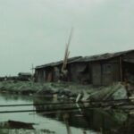 レス40番の画像3