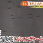 レス3番の画像1