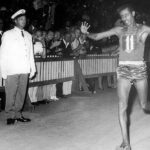 レス8番の画像1