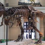 レス10番の画像1